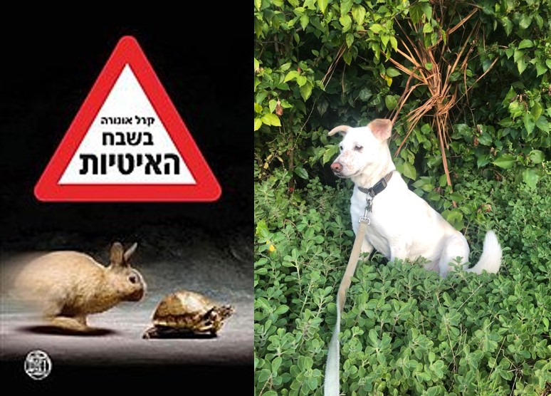 Read more about the article על כלבים דמיוניים ובשבח האיטיות