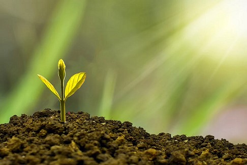 Read more about the article כך תתאימו את מצגת המשקיעים לשלבי הסיד