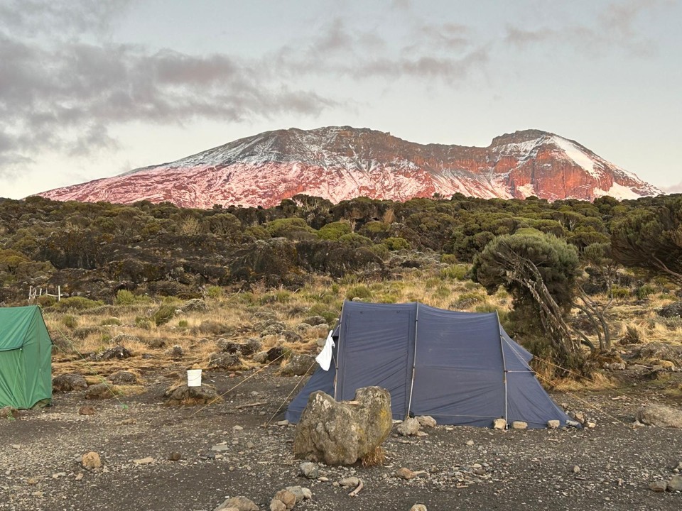 Read more about the article יש לך נכס? תשתמש בו