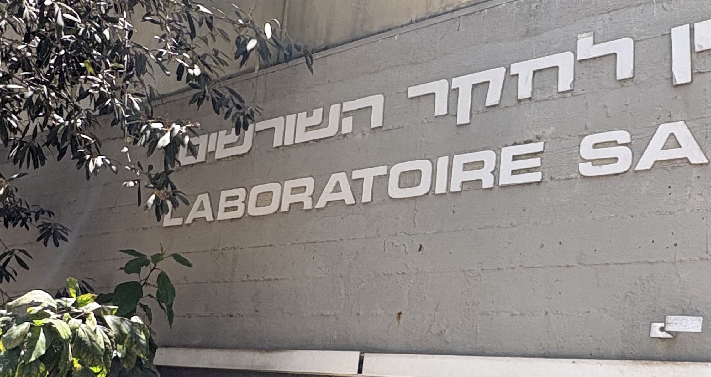Read more about the article עבודת שורשים